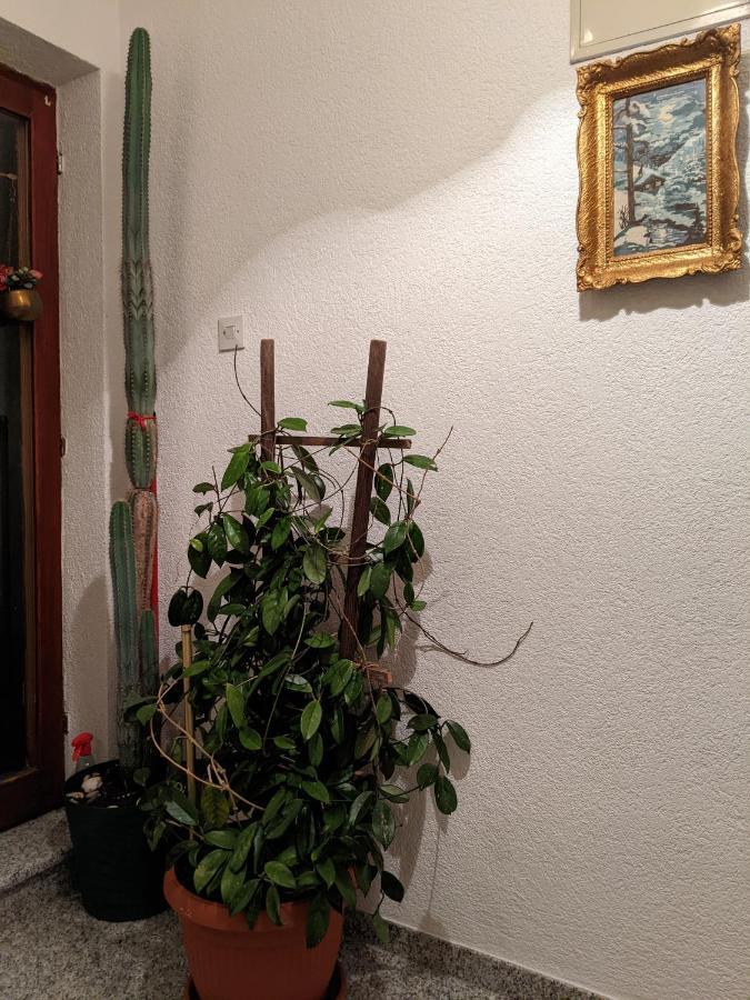 Apartman kod Seke Bihać Buitenkant foto