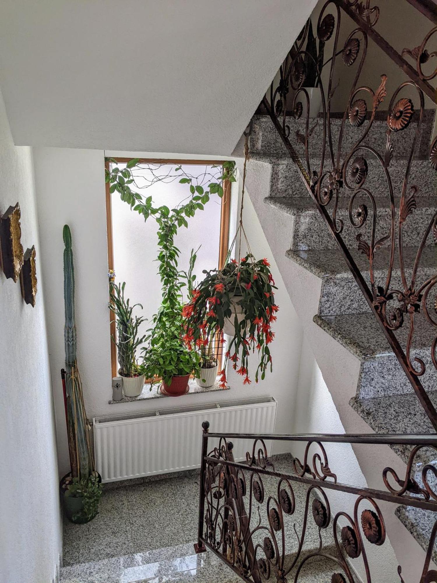 Apartman kod Seke Bihać Buitenkant foto