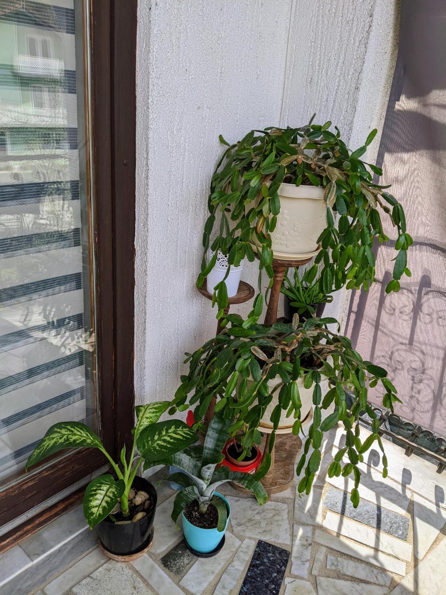 Apartman kod Seke Bihać Kamer foto
