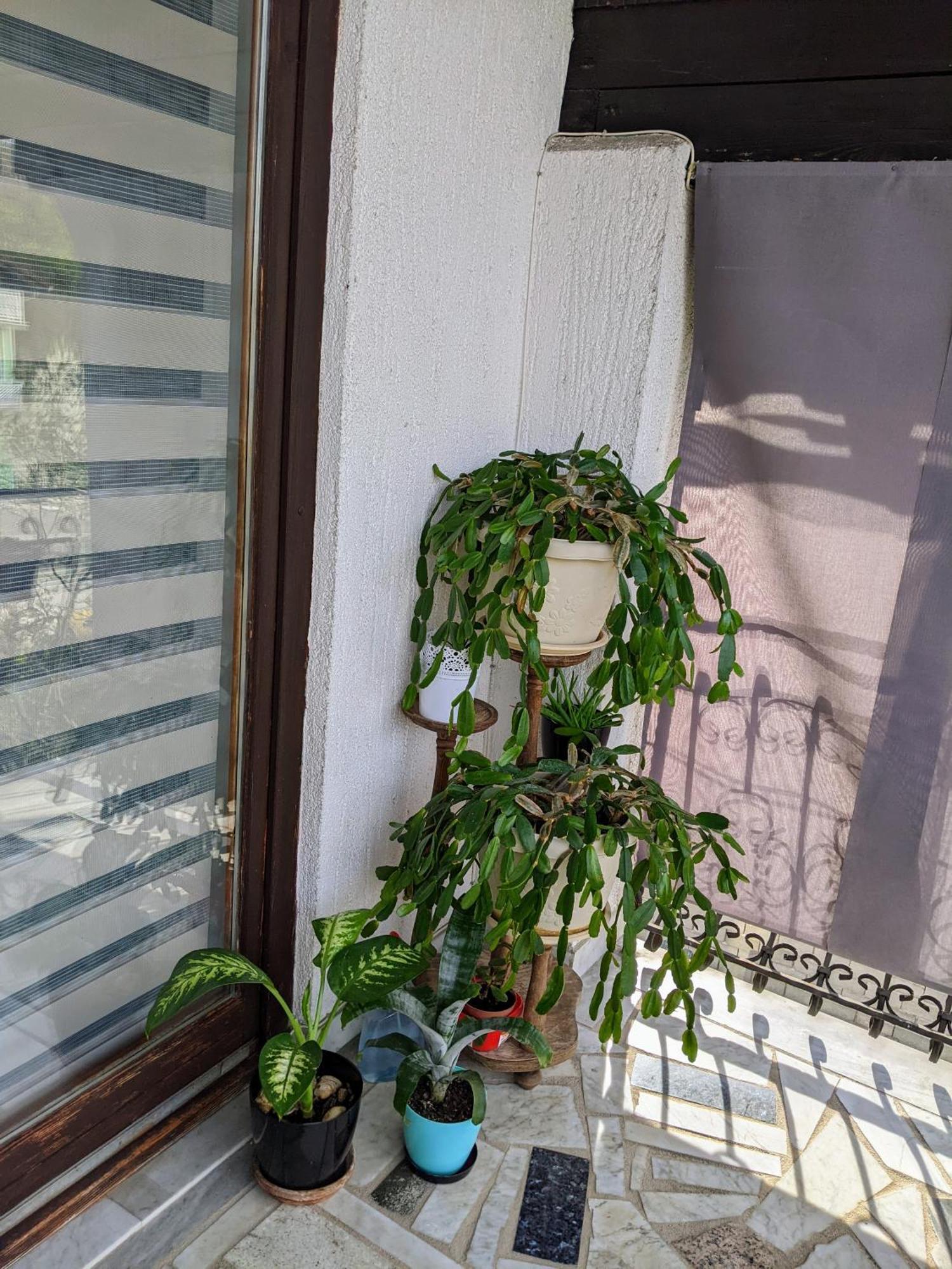 Apartman kod Seke Bihać Kamer foto